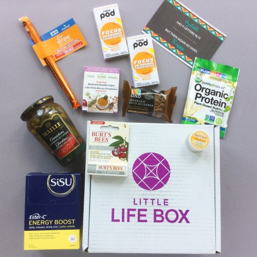 Little Life Box Subscription Box Review + Promo Code – June 2018