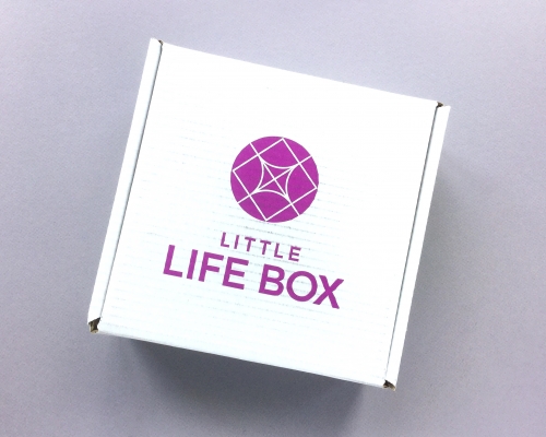 Little Life Box Subscription Box Review + Promo Code – June 2018