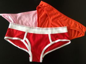 Panty Fly Review – April Review