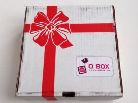 Q Box Review + Promo Code – Lifestyle Subscription Box – January 2014