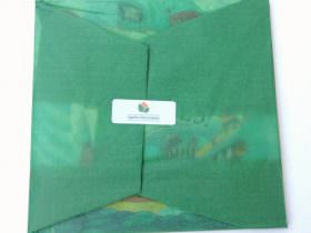 Together Time Company – Singalong Book Club Review + Giveaway – March 2014