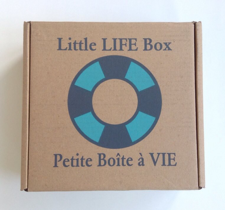 Little Life Box Review + Promo Code – September 2014