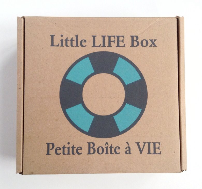 Little Life Box Review + Promo Code – October 2014