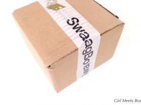 SwaagBox Review + Get First Box for $8 – November 2014