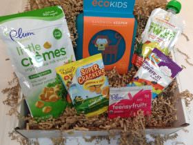 New Subscription Box – Healthy Kid Snack Box