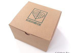 BuddhiBox Review + Coupon Code – January 2015