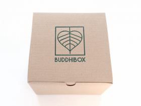 BuddhiBox Review + Coupon Code – February 2015