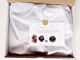 Beaver Box Review – January 2015