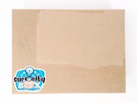 Curiosity Box Review + Promo Code – February 2015 Curiosity Box Review + Promo Code – February 2015