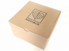 BuddhiBox Review + Coupon Code – July 2015