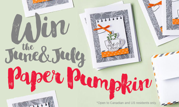 Paper Pumpkin Giveaway + Promo Code!