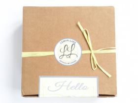 Lemon Lane Gifts Review + Promo Code – August 2015 Lemon Lane Gifts Review + Promo Code – August 2015