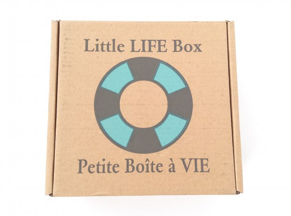 Little Life Box Review + Promo Code – October 2015