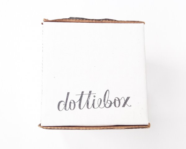 Dottiebox Mini Review – October 2015