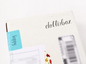 Dottiebox Review – November 2015