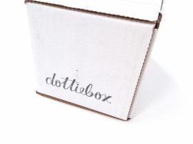 Dottiebox Mini Review – December 2015