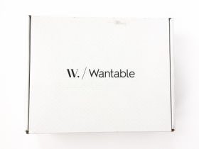 Wantable Intimates Box Review – January 2016