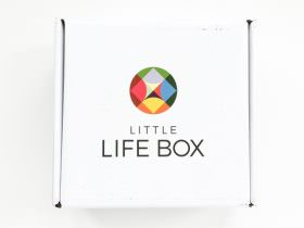 Little Life Box Review + Promo Code – January 2016