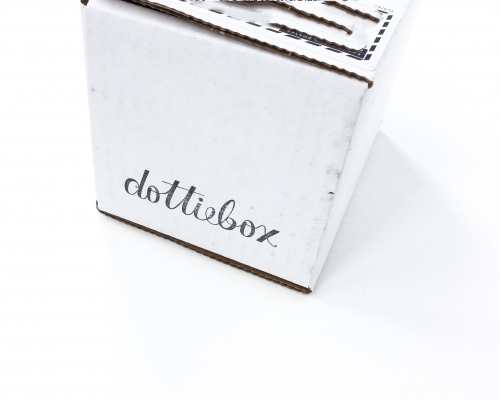 Dottiebox Mini Review – January 2016