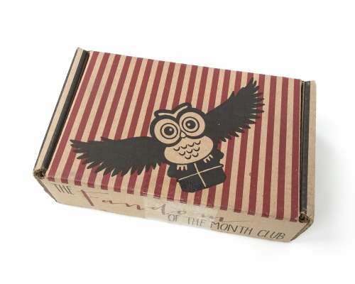 Fandom Of The Month Club Review + Coupon Code – January 2016