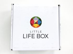 Little Life Box Review + Promo Code – February 2016