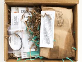 The Willie Wags Review + Coupon Code – March 2016