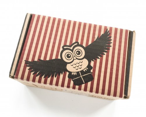 Fandom of the Month Club Review + Coupon Code – March 2016