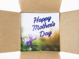 GlobeIn Mother’s Day Special FREE Gift – April 2016