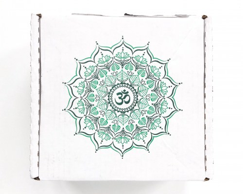 BuddhiBox Review + Coupon Code – April 2016