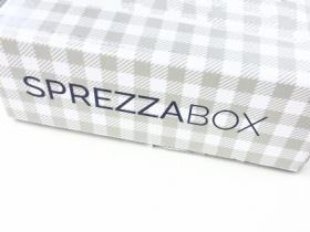 SprezzaBox Review + Coupon Code – June 2016