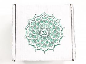 BuddhiBox Review + Coupon Code – June 2016