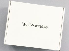 Wantable Intimates Box Review – August 2016