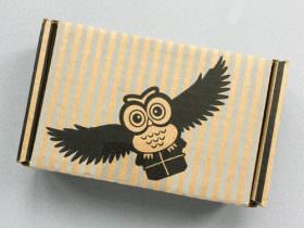 Fandom of the Month Club Review + Coupon Code – July 2016