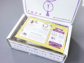 Yogi Surprise Jewelry Subscription Box Review + Coupon Code – July 2016