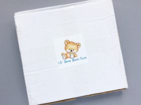 Lil’ Bear Book Club Review + Coupon Code – August 2016