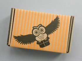 Fandom of the Month Club Review + Coupon Code – August 2016