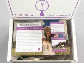 Yogi Surprise Jewelry Subscription Box Review + Coupon Code – September 2016