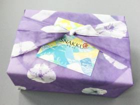 Snakku Review + Promo Code – September 2016