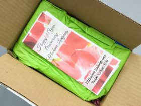 Madame Ladybug Subscription Box Review – September 2016