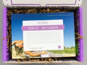 Yogi Surprise Subscription Box Review + Coupon Code – October 2016