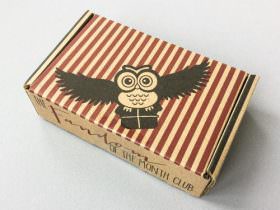 Fandom of the Month Club Review + Coupon Code – October 2016