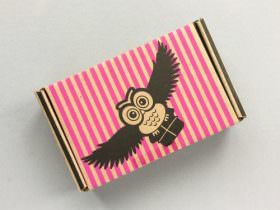 Fandom of the Month Club Review + Coupon Code – November 2016