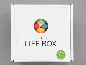 Little Life Box Review + Promo Code – December 2016