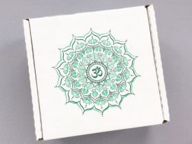 BuddhiBox Review + Coupon Code – December 2016