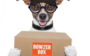 Bowzer Box*