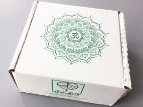 BuddhiBox Review + Coupon Code – January 2017