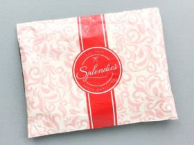 Splendies Review – January 2017