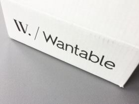 Wantable Intimates Box Review – February 2017 Wantable Intimates Box Review – February 2017