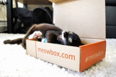 Meowbox*