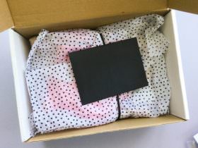 Stylogic Subscription Box Review – March 2017